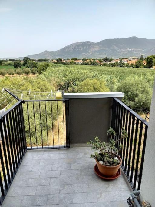 Casa Vacanze Mare Di Paestum公寓 外观 照片